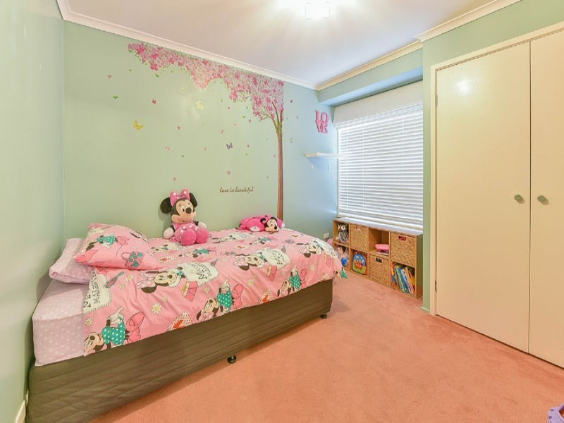 3 Moffat Place, Minto NSW 2566