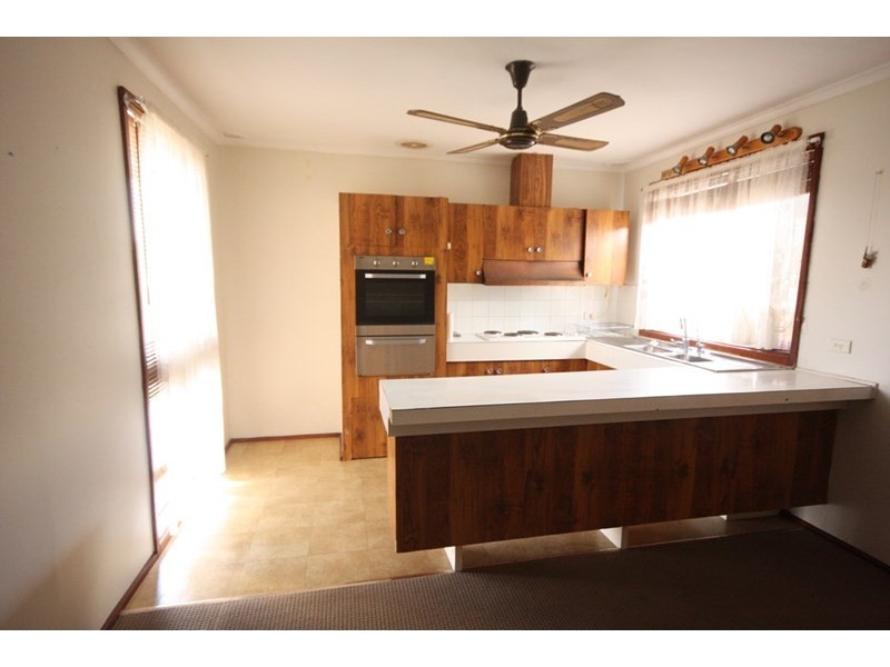 19 Pickett Avenue, Minto NSW 2566