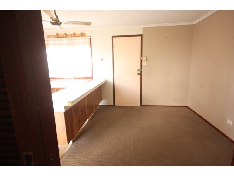 19 Pickett Avenue, Minto NSW 2566