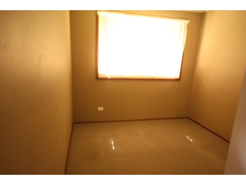 19 Pickett Avenue, Minto NSW 2566