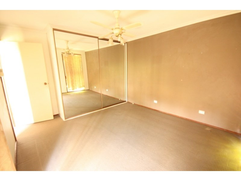 19 Pickett Avenue, Minto NSW 2566