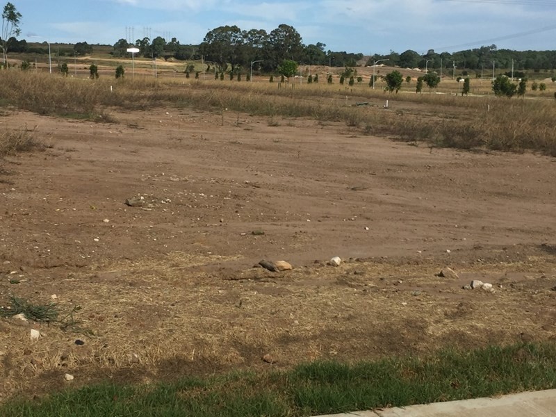 Spring Farm NSW 2570