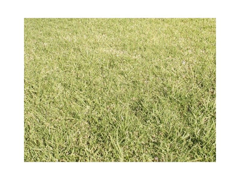 Macquarie Fields NSW 2564