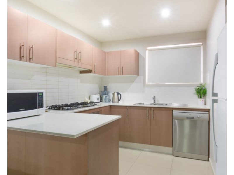 Campbelltown NSW 2560