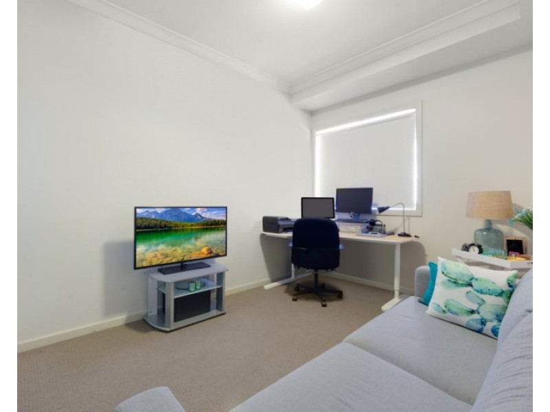 Campbelltown NSW 2560