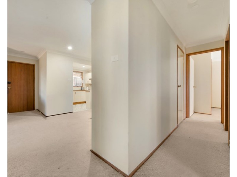 Campbelltown NSW 2560