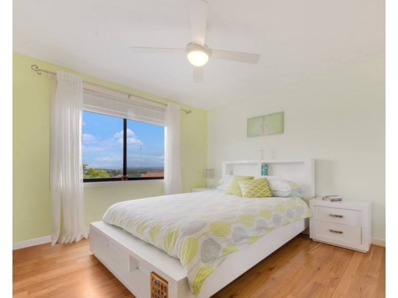 19 Minell Court, Harrington Park NSW 2567