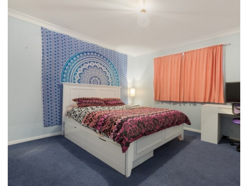 Eschol Park NSW 2558