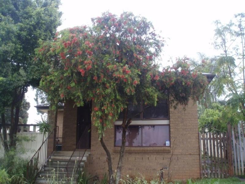 Rosemeadow NSW 2560