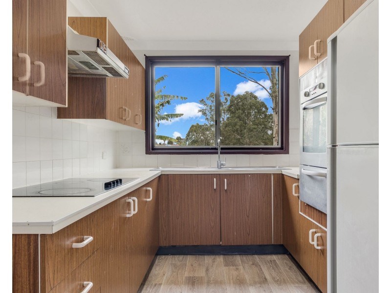 51 Randall Avenue, Minto NSW 2566