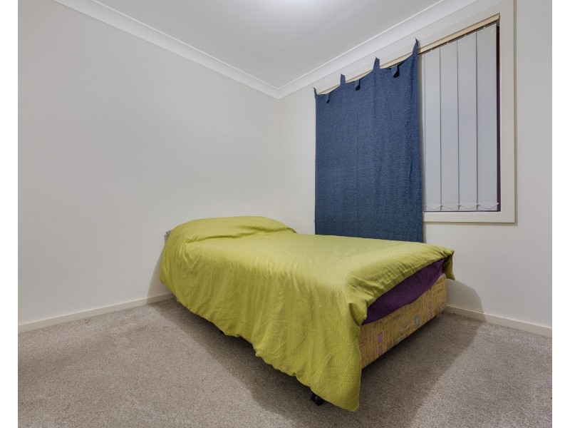 Minto NSW 2566