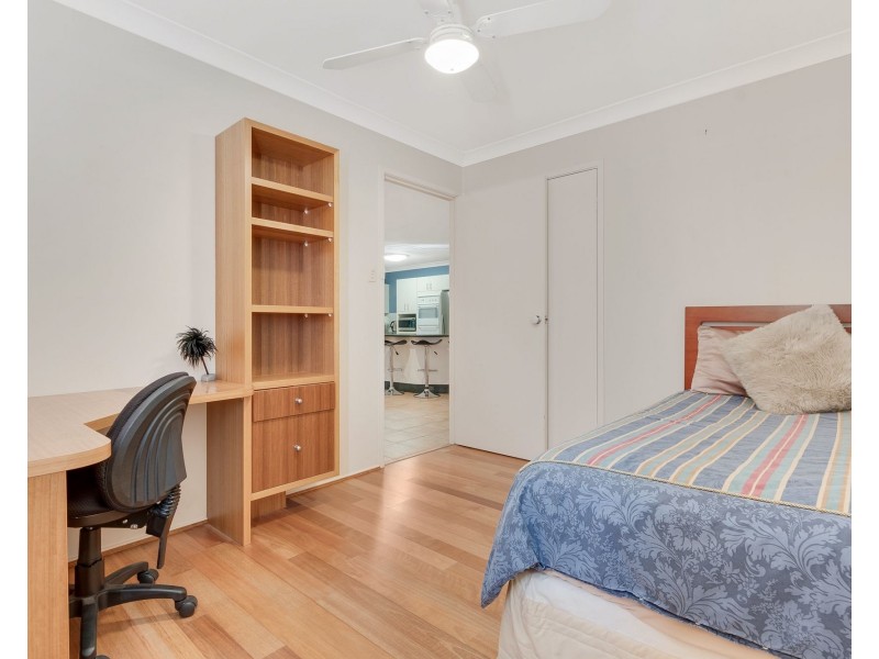 23 Veness Circuit, Narellan Vale NSW 2567