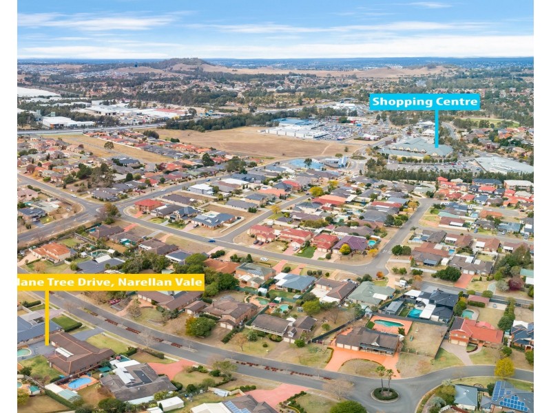 10 Plane Tree Drive, Narellan Vale NSW 2567