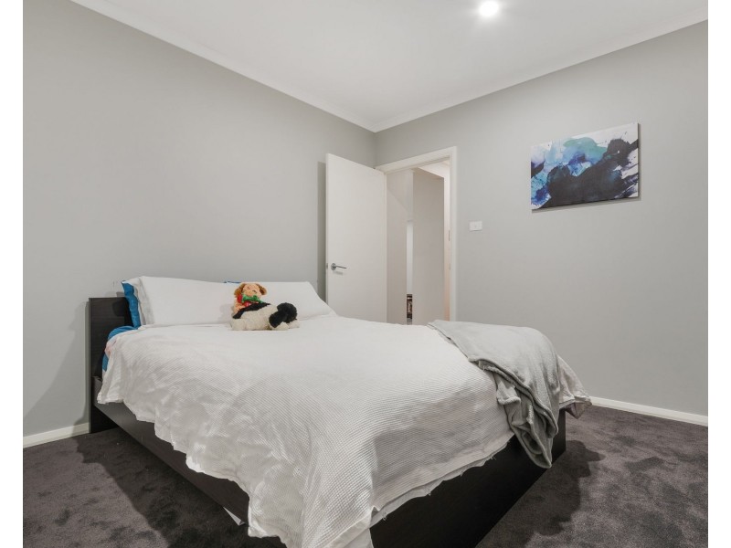 49 Reynolds Street, Spring Farm NSW 2570