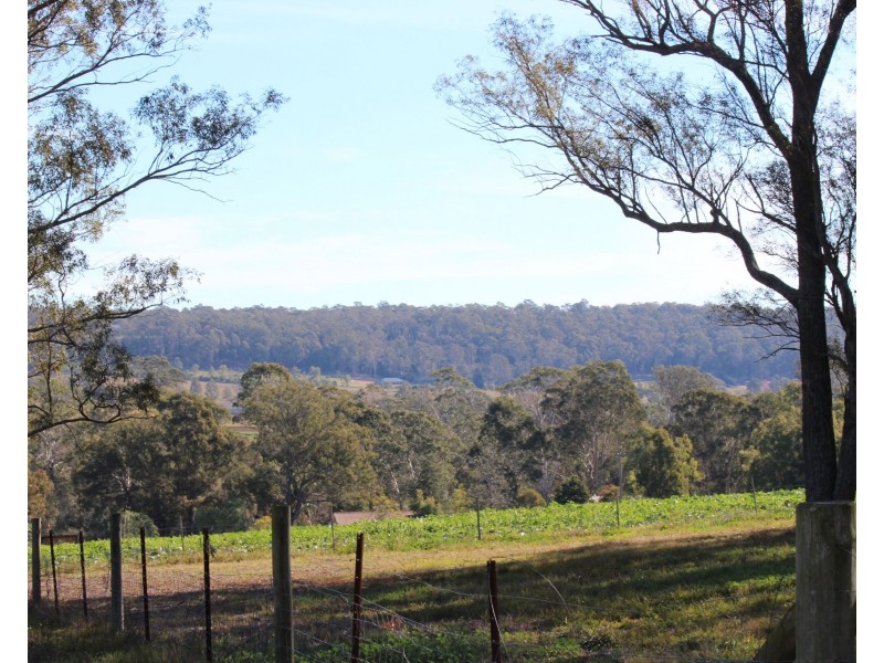 10 & 10A Glenworth Place, Camden NSW 2570