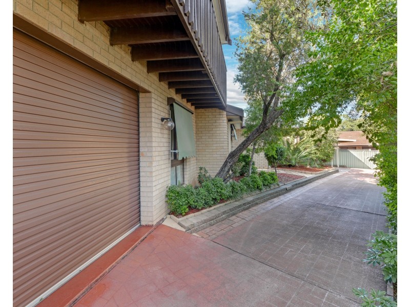 23 Traminer Place, Eschol Park NSW 2558