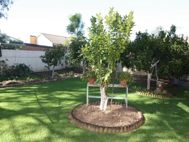 55 Longhurst Road, Minto NSW 2566