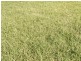 Rosemeadow NSW 2560