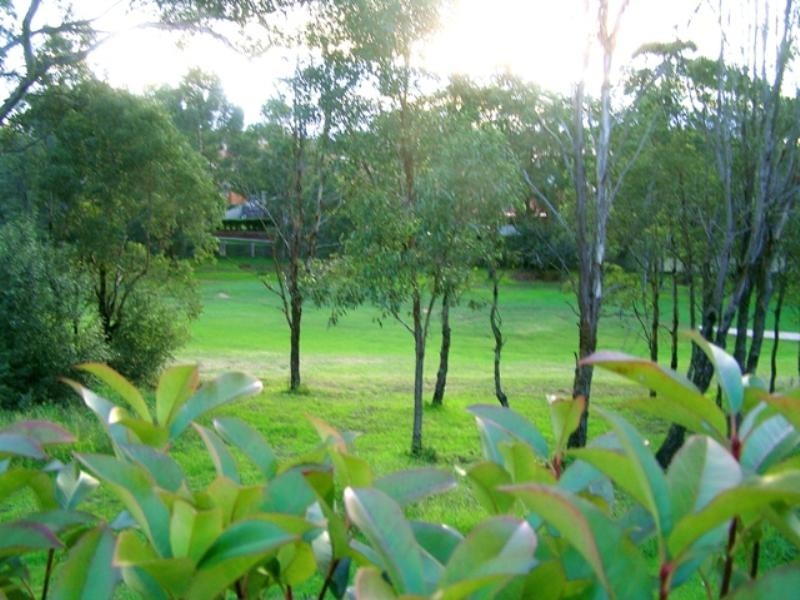 Glen Alpine NSW 2560