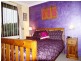 Eschol Park NSW 2558