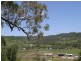Camden NSW 2570