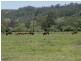 Camden NSW 2570