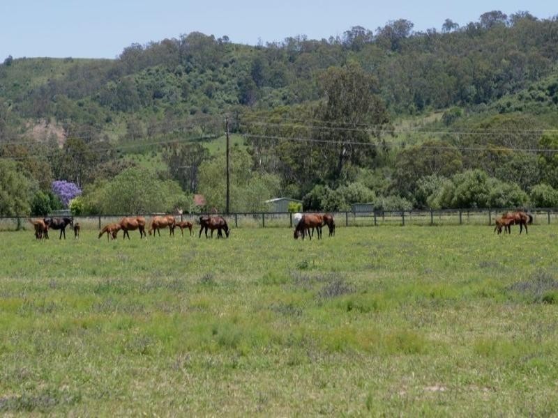 Camden NSW 2570