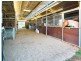 Camden NSW 2570