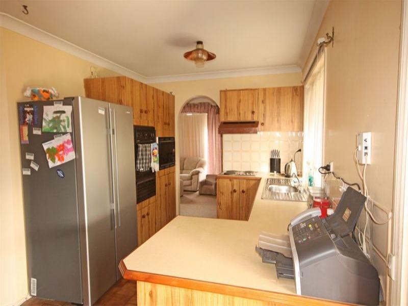 4 Hall Place, Minto NSW 2566