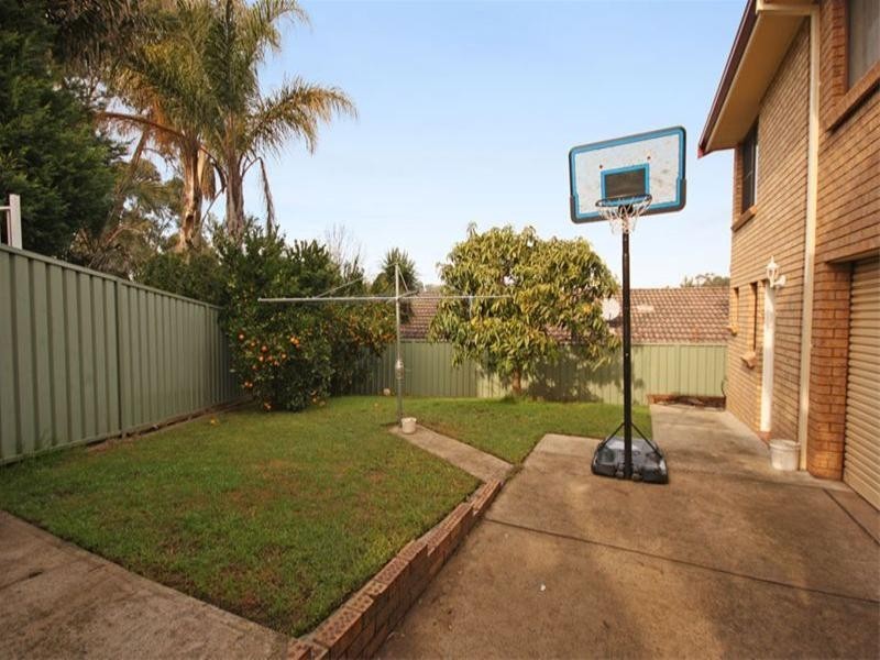 52 Chasselas Avenue, Eschol Park NSW 2558
