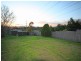 11 Porter Street, Minto NSW 2566