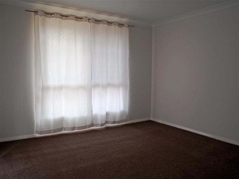 Macquarie Fields NSW 2564