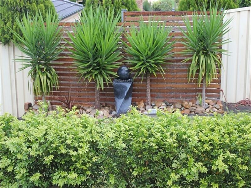 6 Morinda Street, Mount Annan NSW 2567