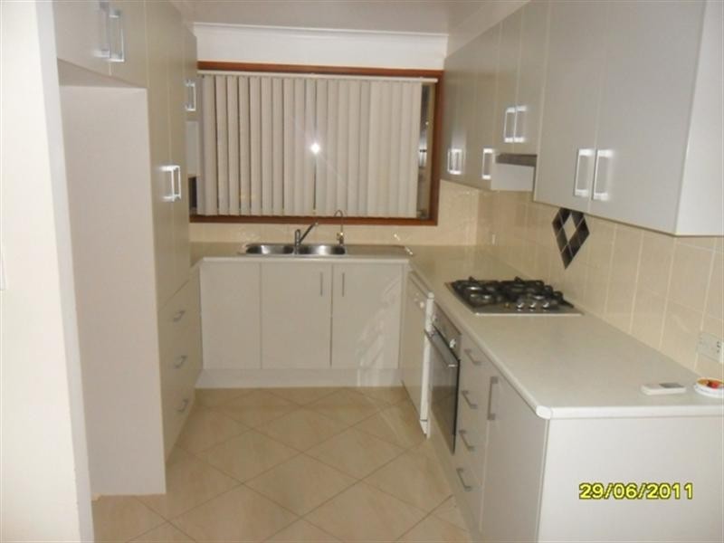 20 Randall Avenue, Minto NSW 2566