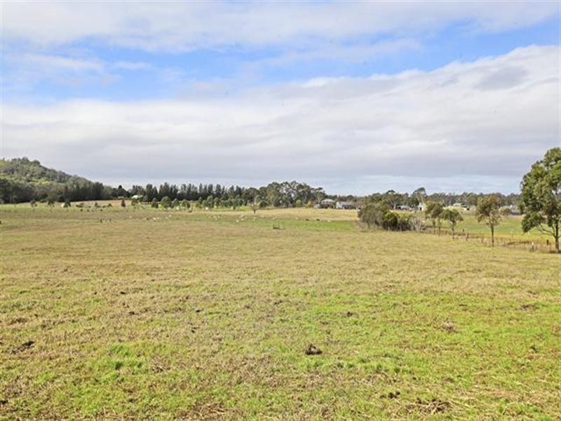 161 Cut Hill Road, Cobbitty NSW 2570