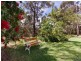 50 Bellbird Road, Wedderburn NSW 2560