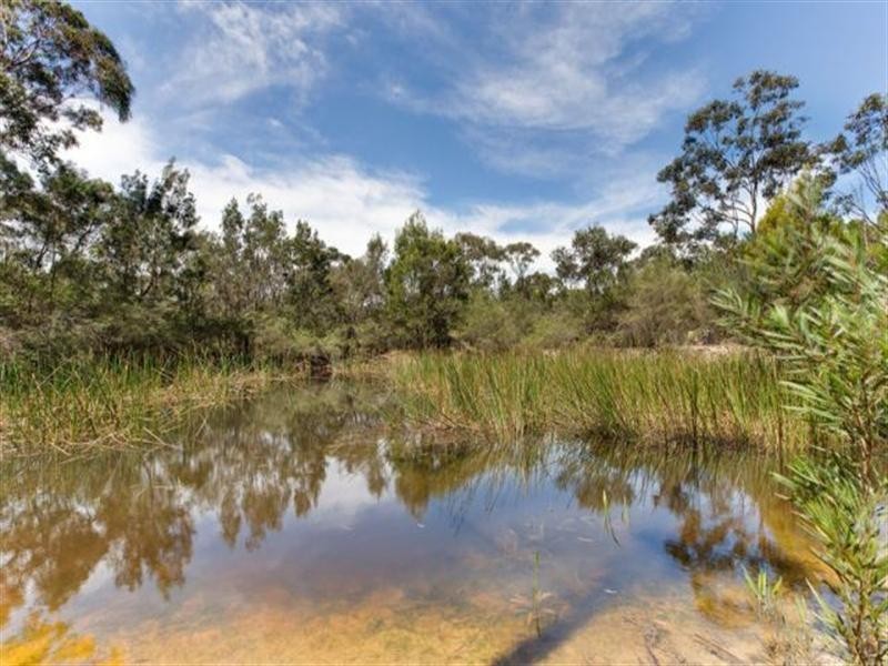 50 Bellbird Road, Wedderburn NSW 2560