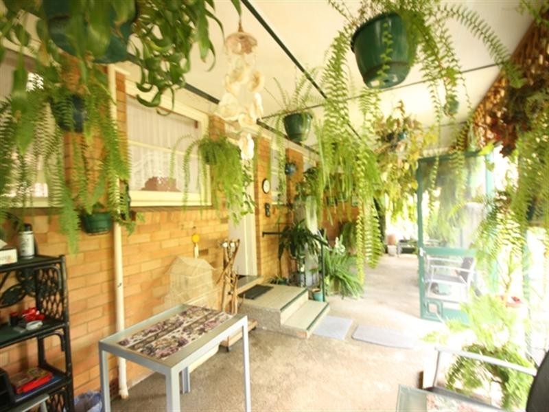 31 Edgar Street, Macquarie Fields NSW 2564