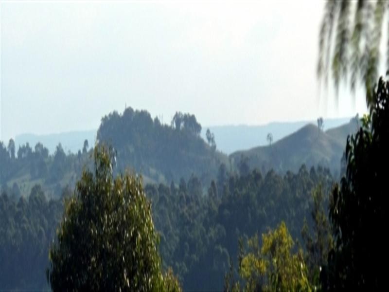 Leumeah NSW 2560