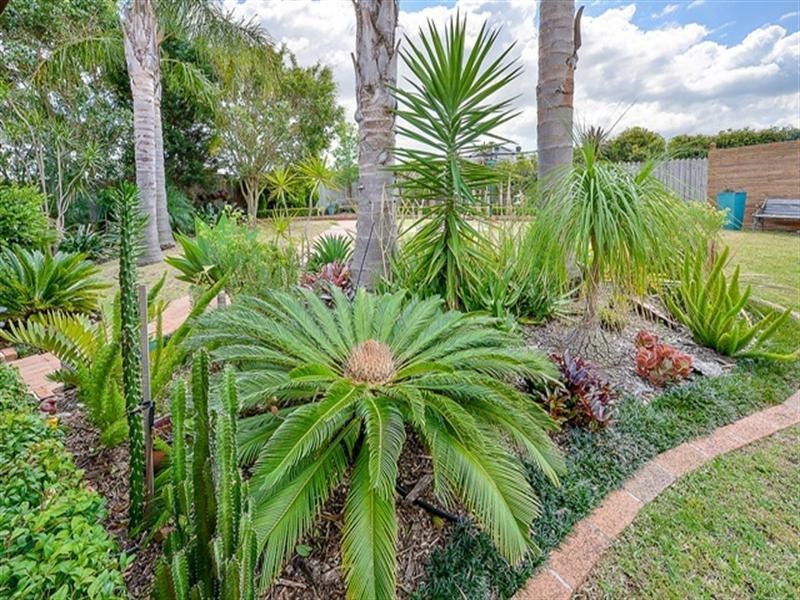 Glen Alpine NSW 2560