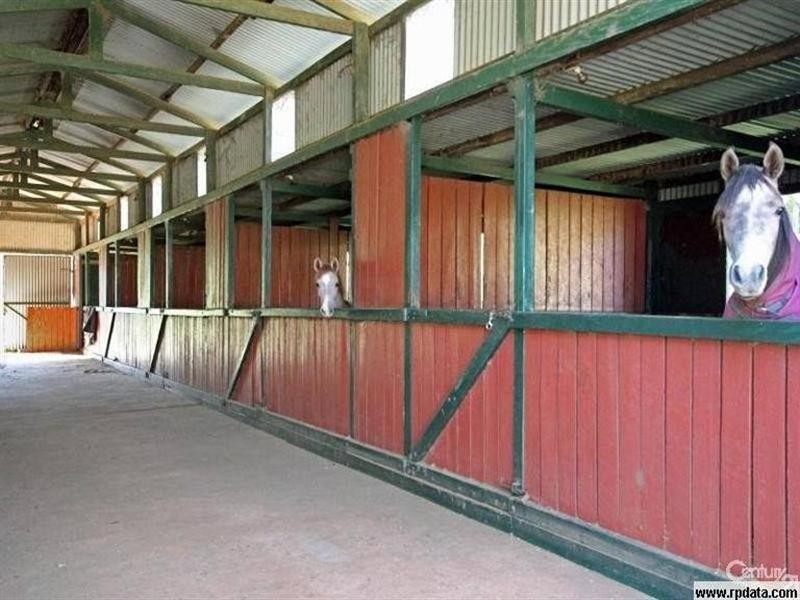 290 Cut Hill Road, Cobbitty NSW 2570
