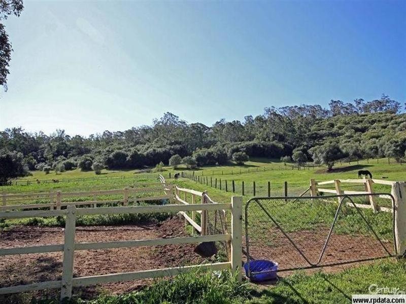290 Cut Hill Road, Cobbitty NSW 2570