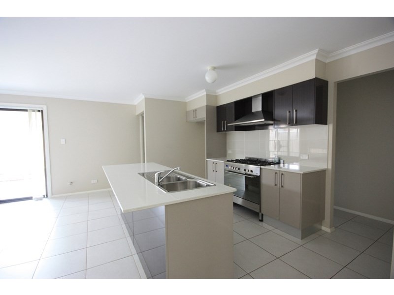 14 Campine Street, Spring Farm NSW 2570