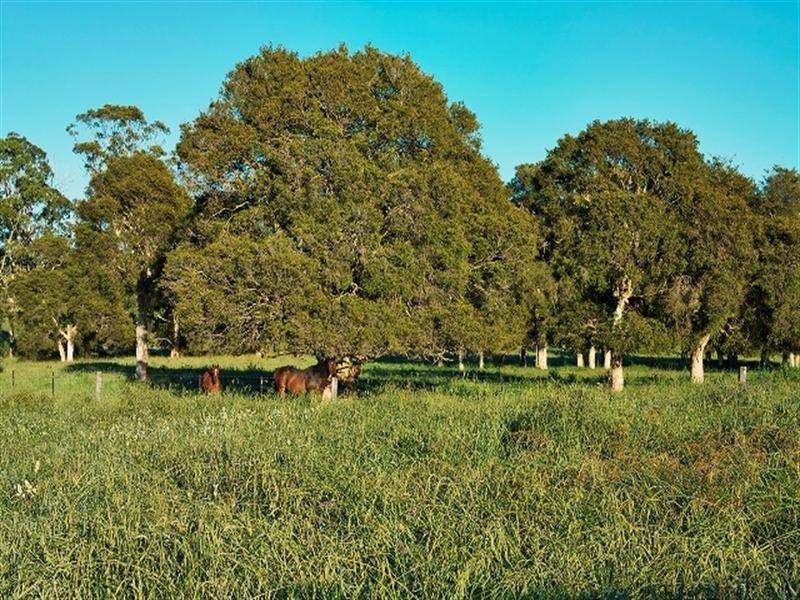 110 Colonel Pye Drive, Cobbitty NSW 2570