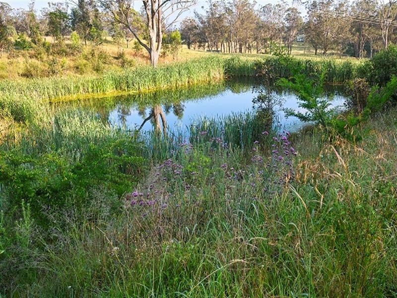 110 Colonel Pye Drive, Cobbitty NSW 2570