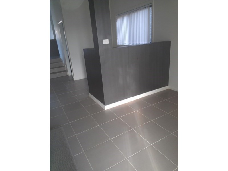 15 indigofera Circuit, Mount Annan NSW 2567