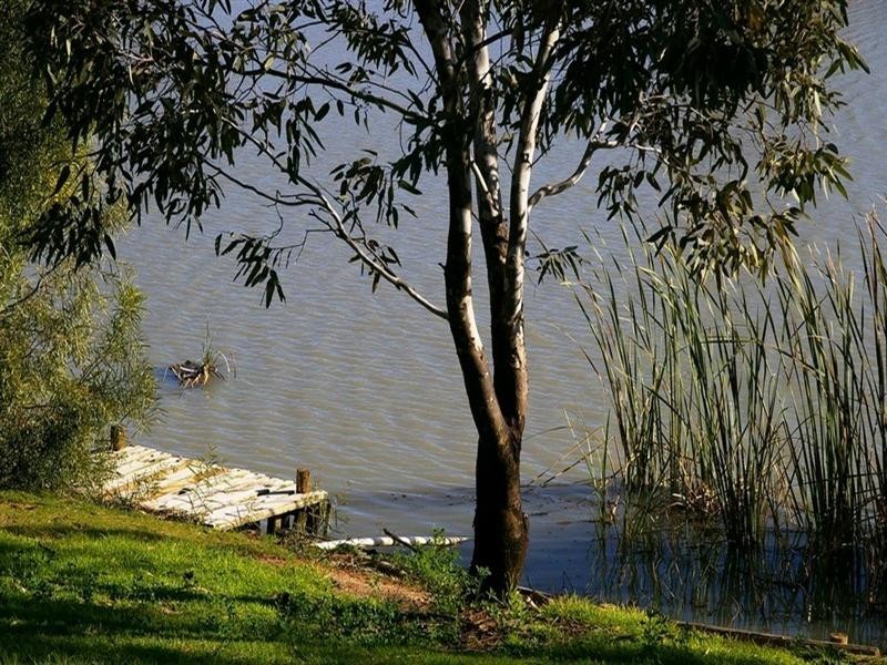 39 Meander Avenue, Renmark SA 5341