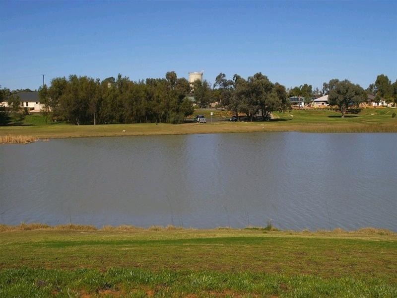 4 Nardoo Court, Renmark SA 5341