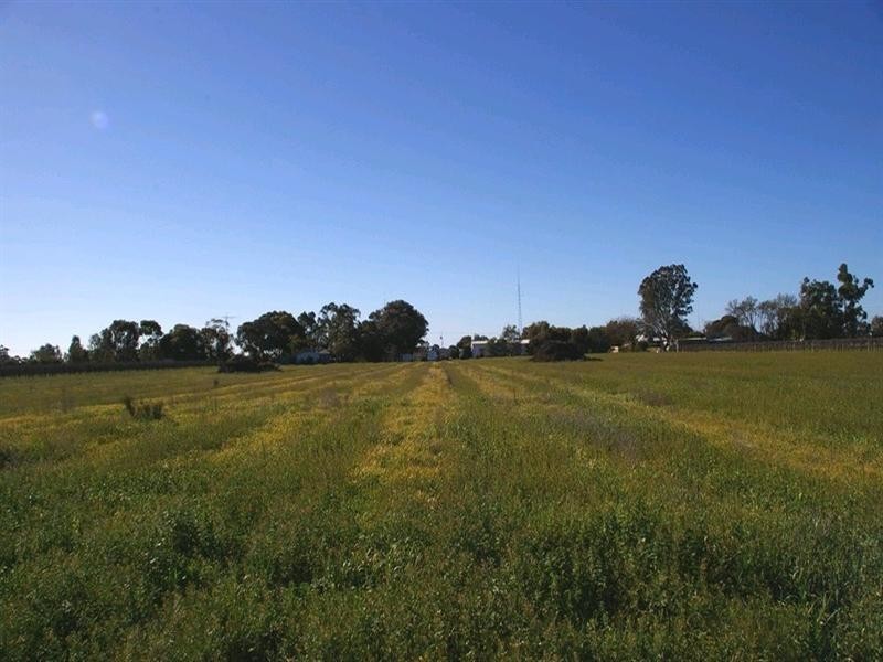 Lot 620 Ontario Street, Renmark SA 5341