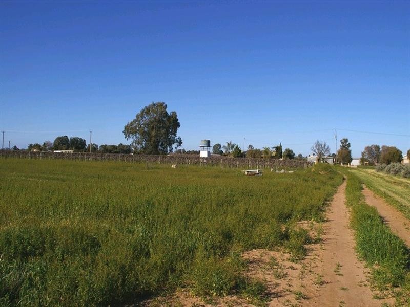 Lot 620 Ontario Street, Renmark SA 5341